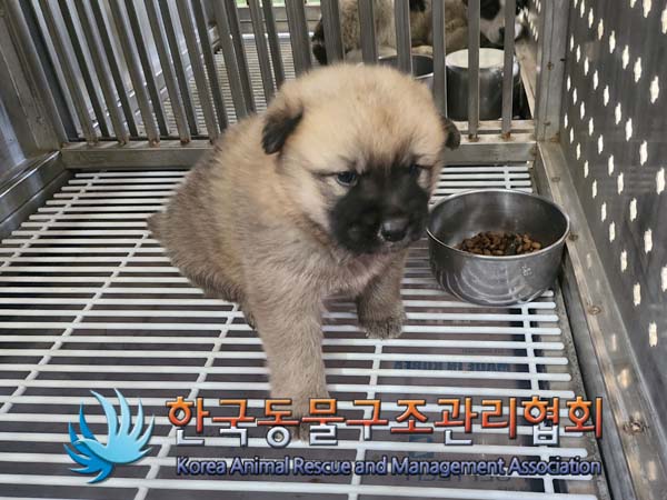한국동물구조관리협회_441409202400630
